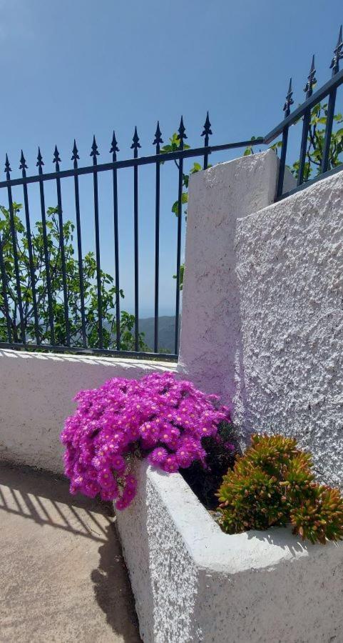 Cortijo Blanco Villa Albondon Exterior photo